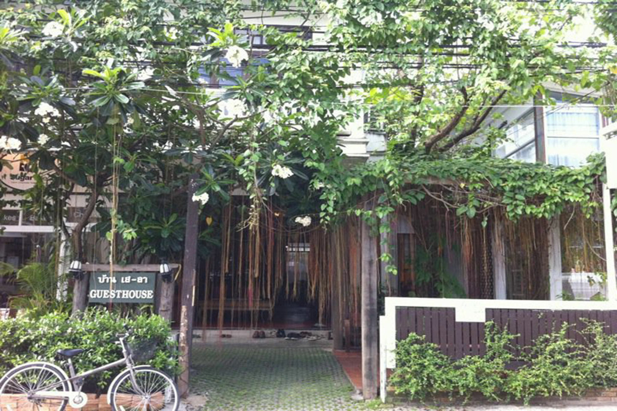 Baan Say-La Guest House Chiang Mai Dış mekan fotoğraf